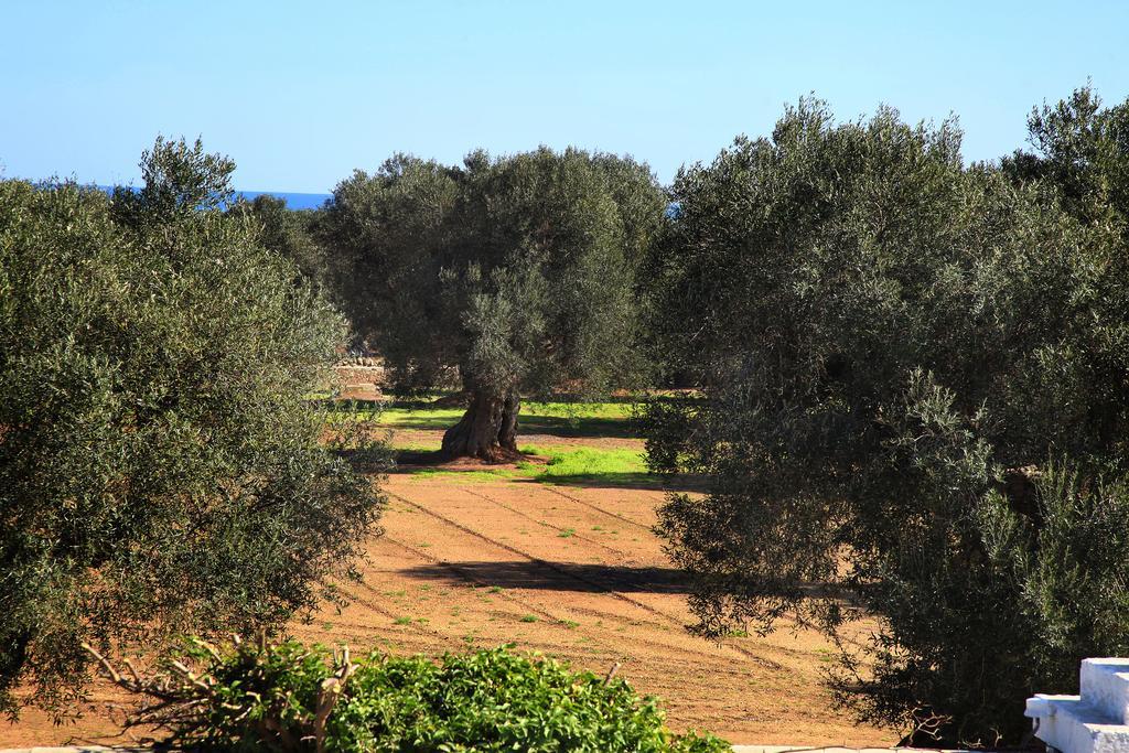 Masseria Pittore Savelletri Екстериор снимка